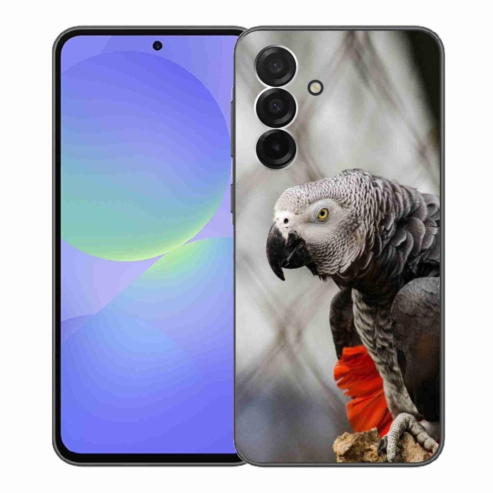 Gelový kryt mmCase na Samsung Galaxy A36 5G - papoušek žako 3