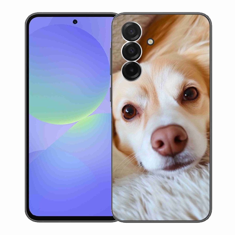 Gelový kryt mmCase na Samsung Galaxy A36 5G - Roztomilá čivava