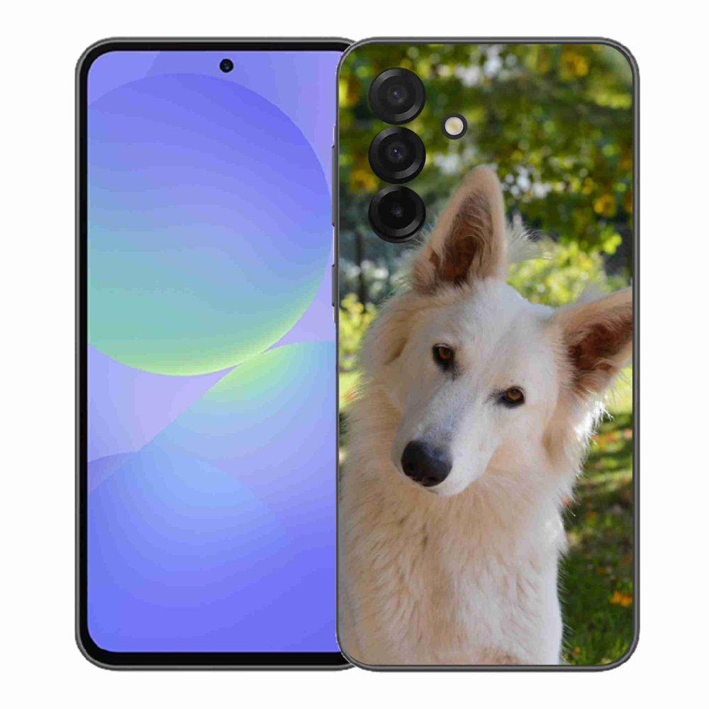 Gelový kryt mmCase na Samsung Galaxy A37 5G - bílý švýcarský ovčák 1