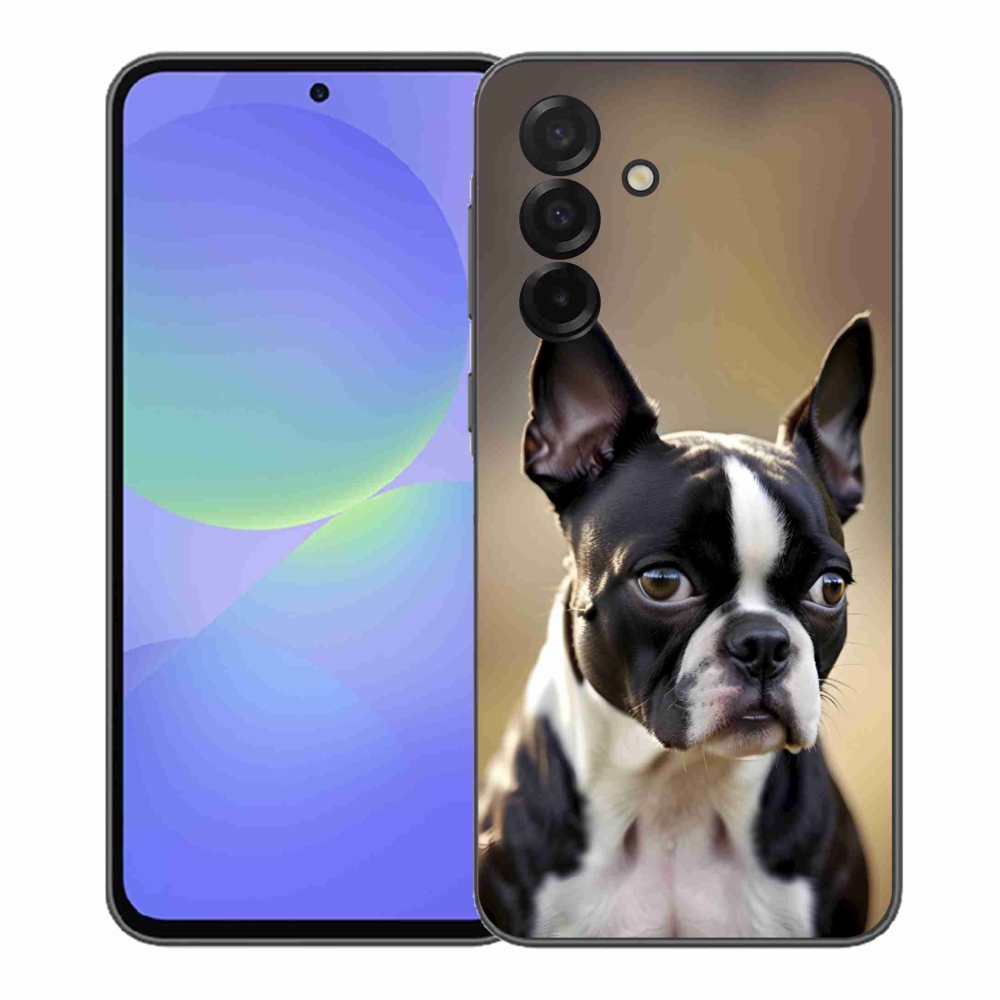 Gelový kryt mmCase na Samsung Galaxy A37 5G - bostonský teriér