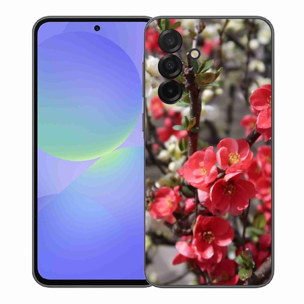 Gelový kryt mmCase na Samsung Galaxy A37 5G - červené květy