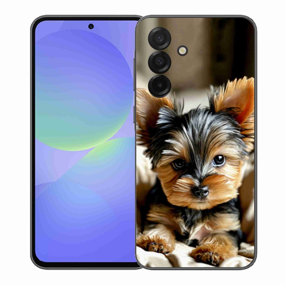Gelový kryt mmCase na Samsung Galaxy A37 5G - jorkšír 11