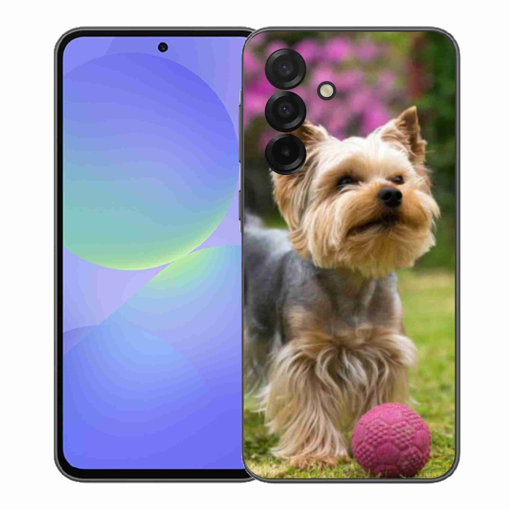 Gelový kryt mmCase na Samsung Galaxy A37 5G - jorkšír 4