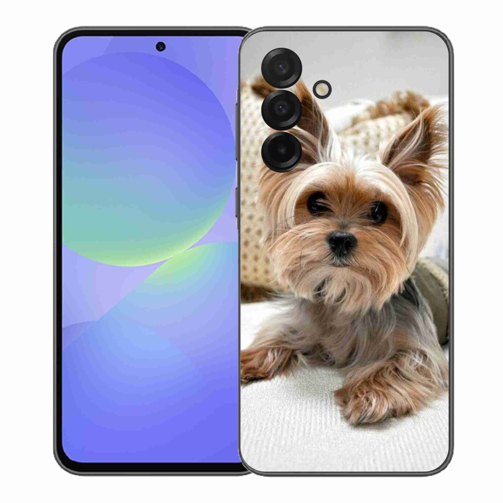 Gelový kryt mmCase na Samsung Galaxy A37 5G - jorkšír 5