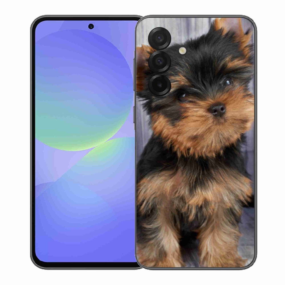 Gelový kryt mmCase na Samsung Galaxy A37 5G - jorkšír 9