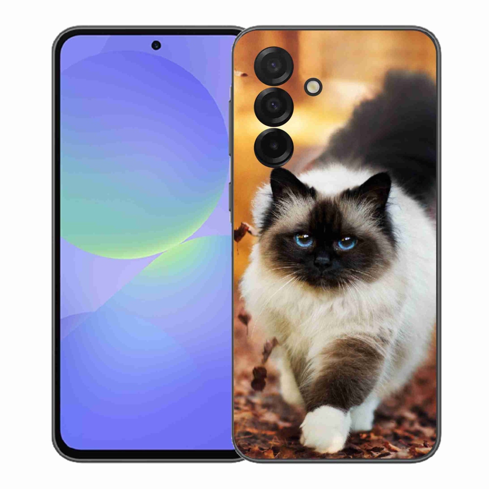Gelový kryt mmCase na Samsung Galaxy A37 5G - kočka