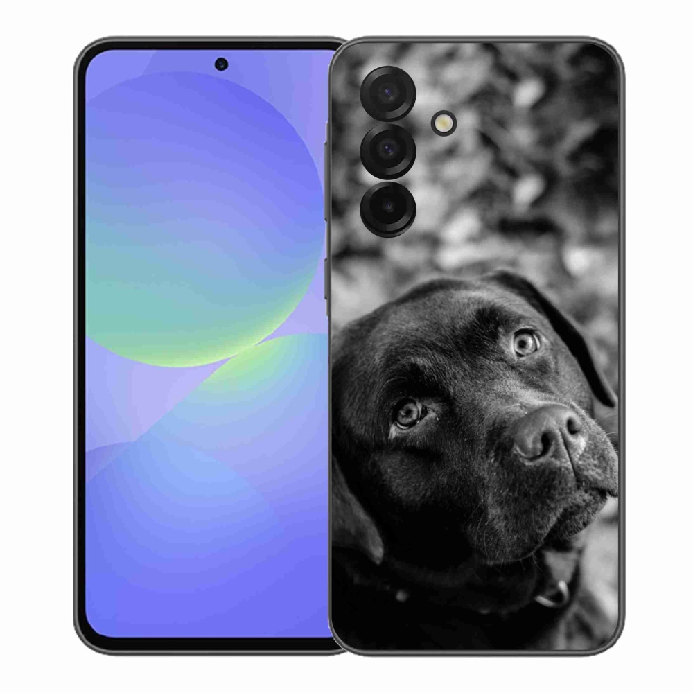 Gelový kryt mmCase na Samsung Galaxy A37 5G - labrador
