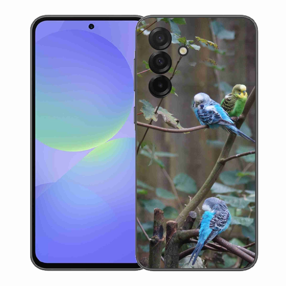 Gelový kryt mmCase na Samsung Galaxy A37 5G - papoušci na větvi