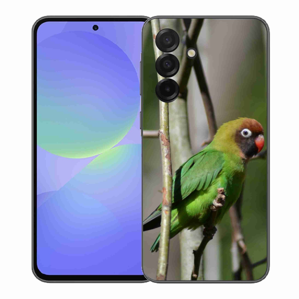 Gelový kryt mmCase na Samsung Galaxy A37 5G - papoušek agapornis