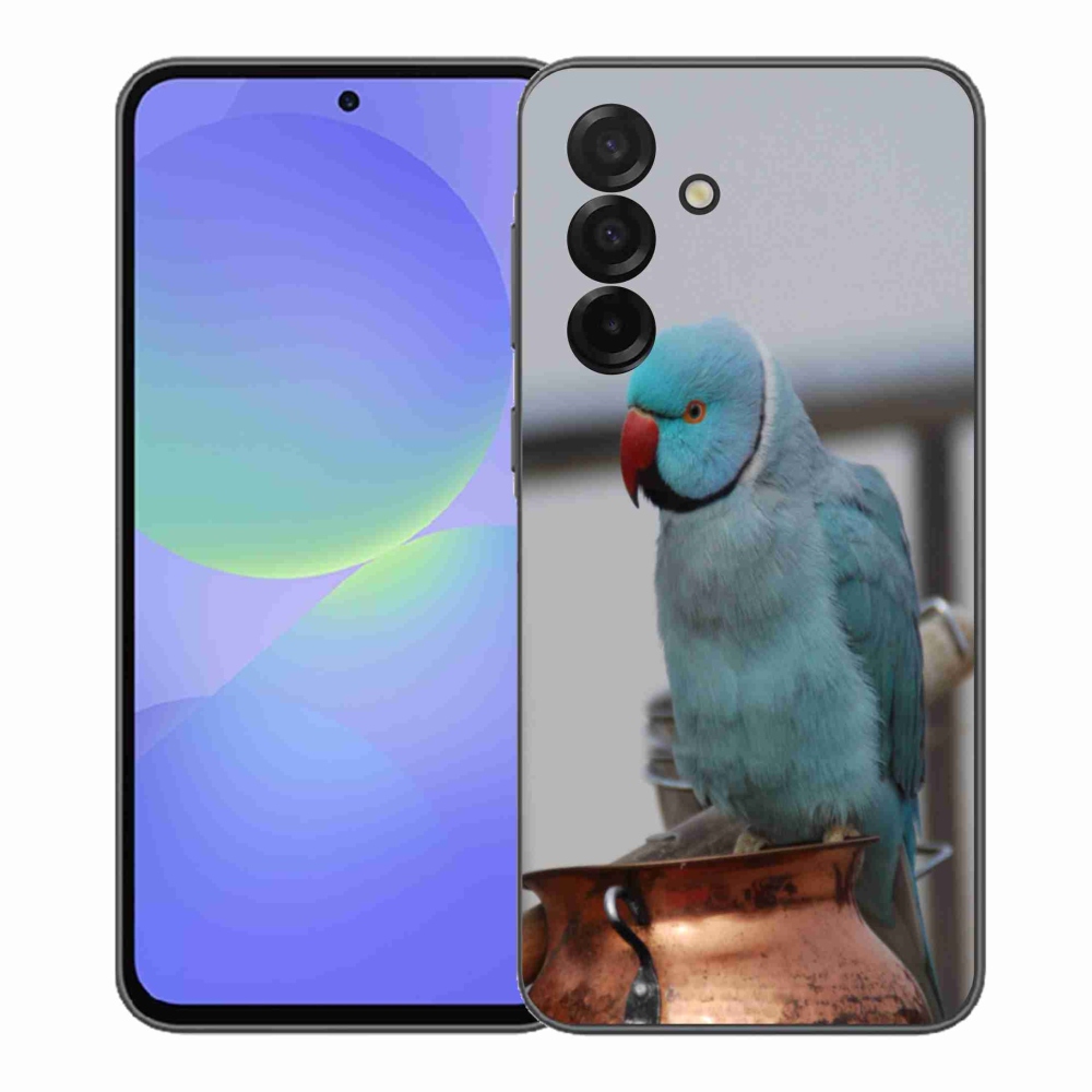 Gelový kryt mmCase na Samsung Galaxy A37 5G - papoušek alexandr modrý