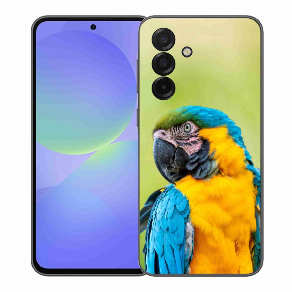Gelový kryt mmCase na Samsung Galaxy A37 5G - papoušek ara 2