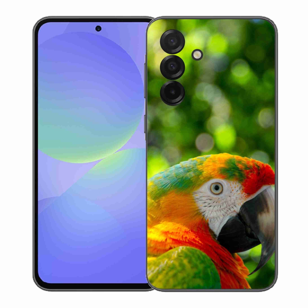 Gelový kryt mmCase na Samsung Galaxy A37 5G - papoušek ara 3