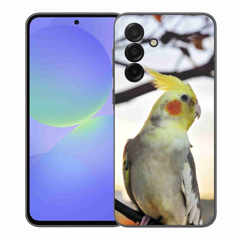 Gelový kryt mmCase na Samsung Galaxy A37 5G - papoušek korela