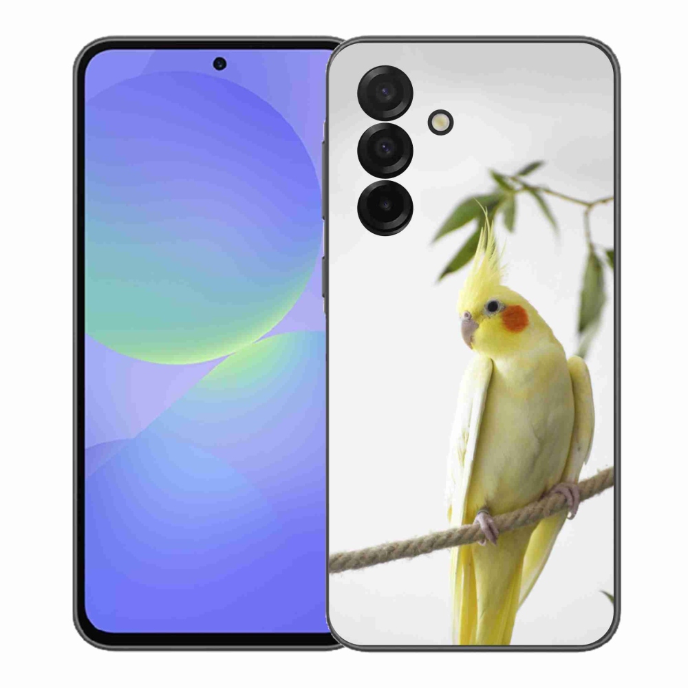 Gelový kryt mmCase na Samsung Galaxy A37 5G - papoušek korela chocholatá