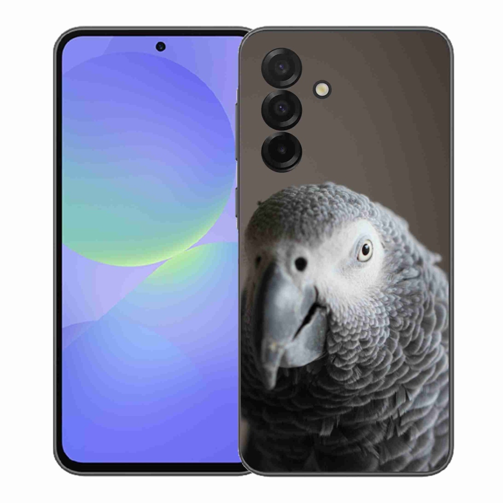 Gelový kryt mmCase na Samsung Galaxy A37 5G - papoušek žako 2