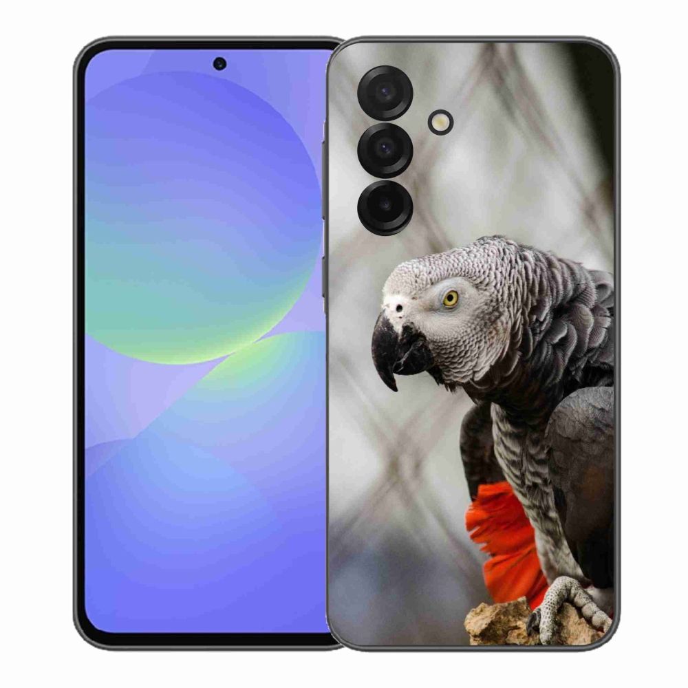 Gelový kryt mmCase na Samsung Galaxy A37 5G - papoušek žako 3