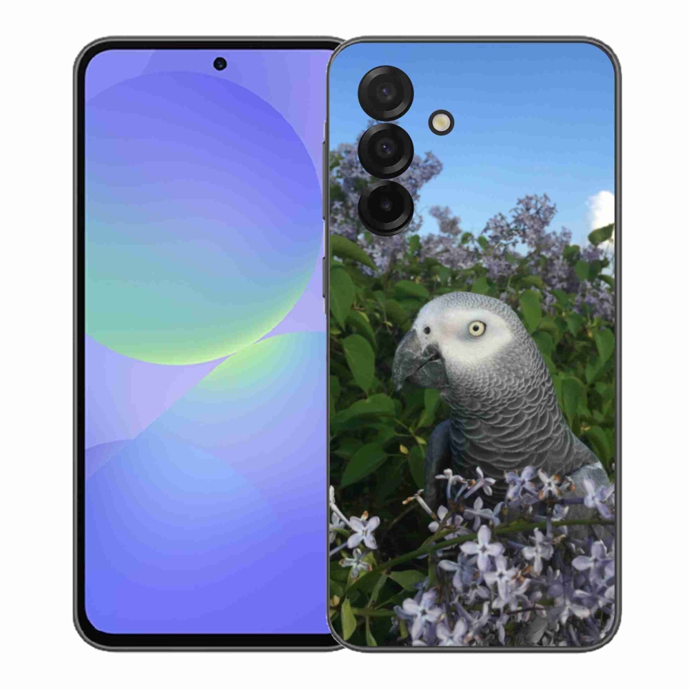 Gelový kryt mmCase na Samsung Galaxy A37 5G - papoušek žako