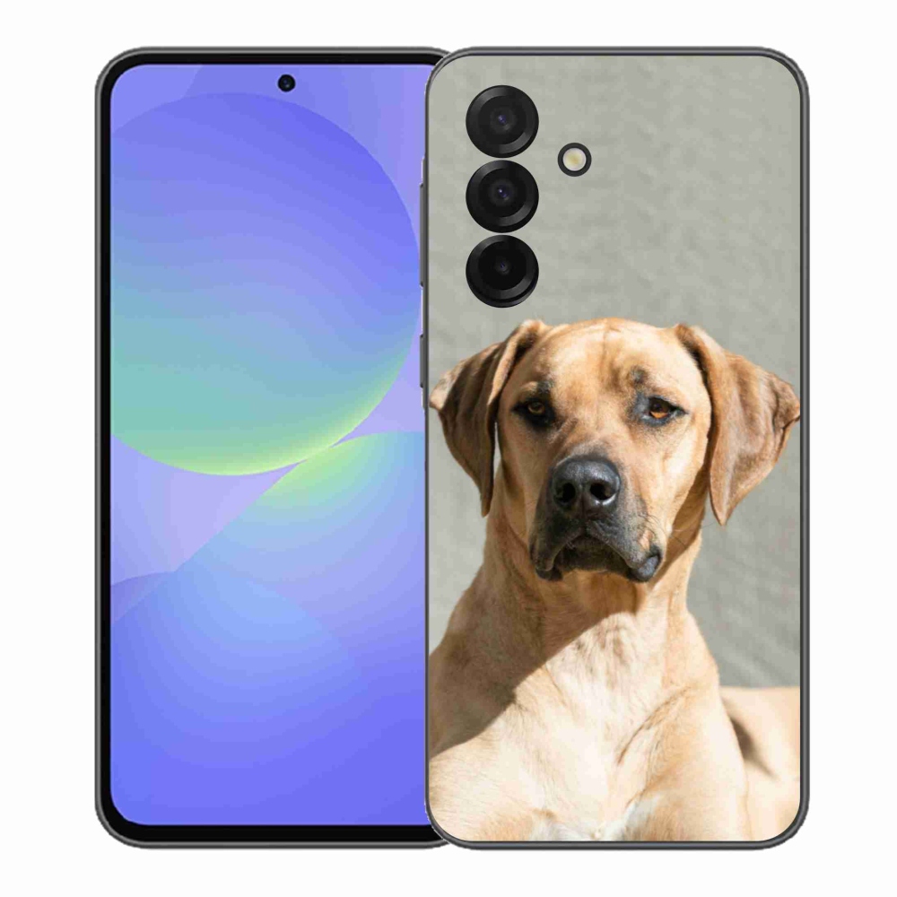 Gelový kryt mmCase na Samsung Galaxy A37 5G - ridgeback