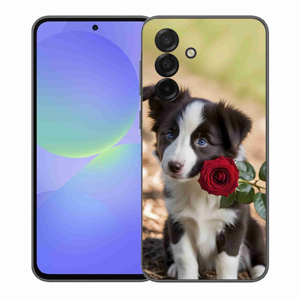 Gelový kryt mmCase na Samsung Galaxy A37 5G - roztomilá border kolie s růží