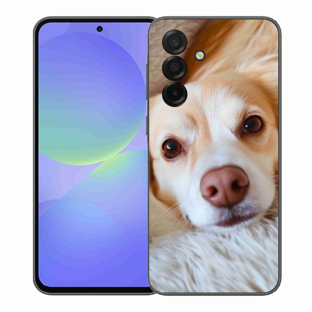 Gelový kryt mmCase na Samsung Galaxy A37 5G - Roztomilá čivava