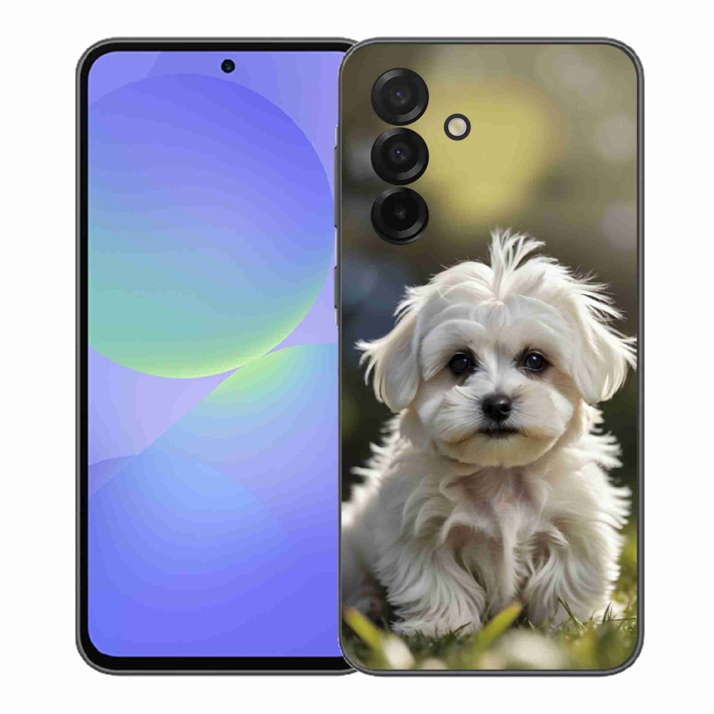 Gelový kryt mmCase na Samsung Galaxy A37 5G - roztomilý maltézský psík