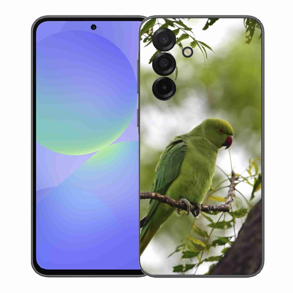 Gelový kryt mmCase na Samsung Galaxy A37 5G - zelený papoušek