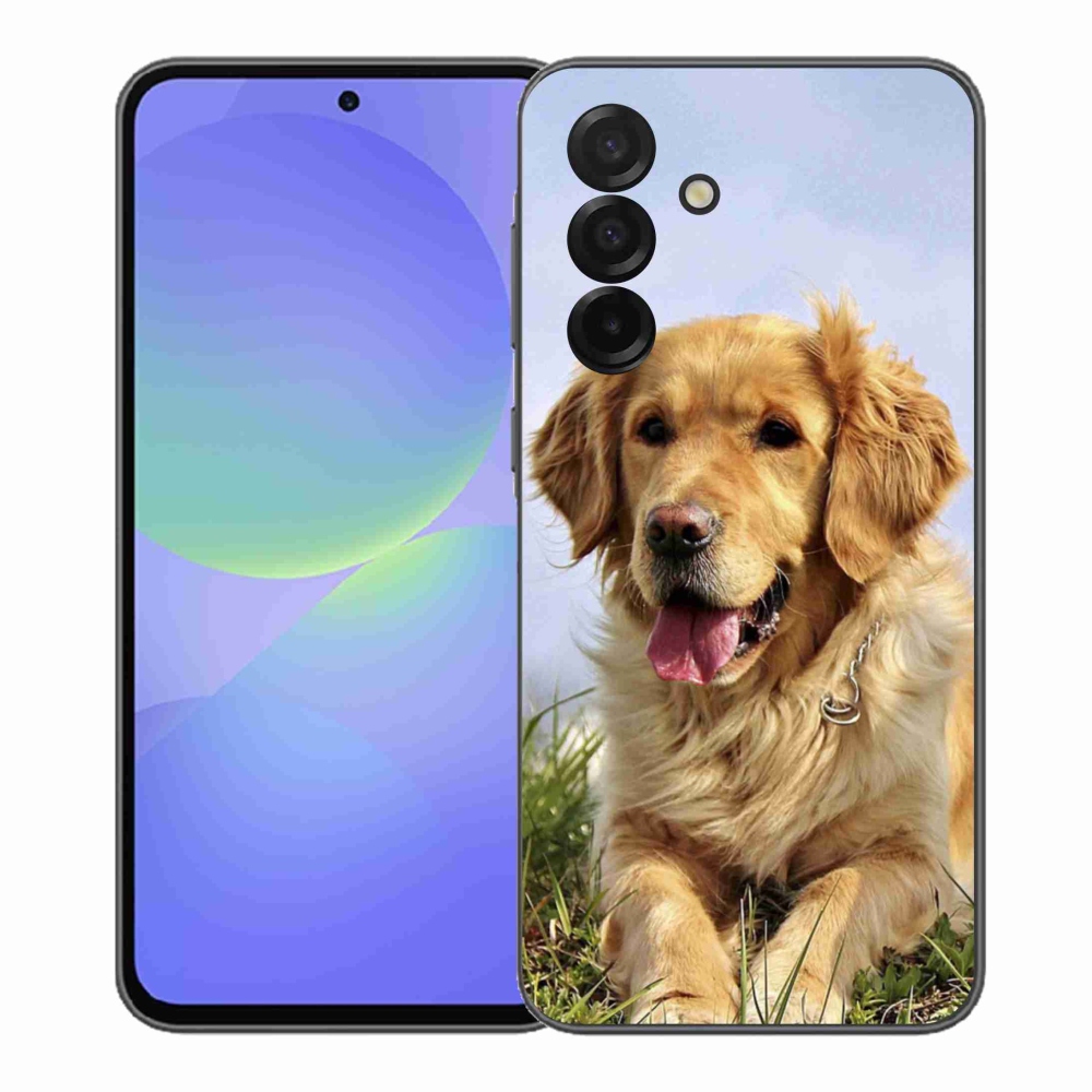 Gelový kryt mmCase na Samsung Galaxy A37 5G - zlatý retrívr