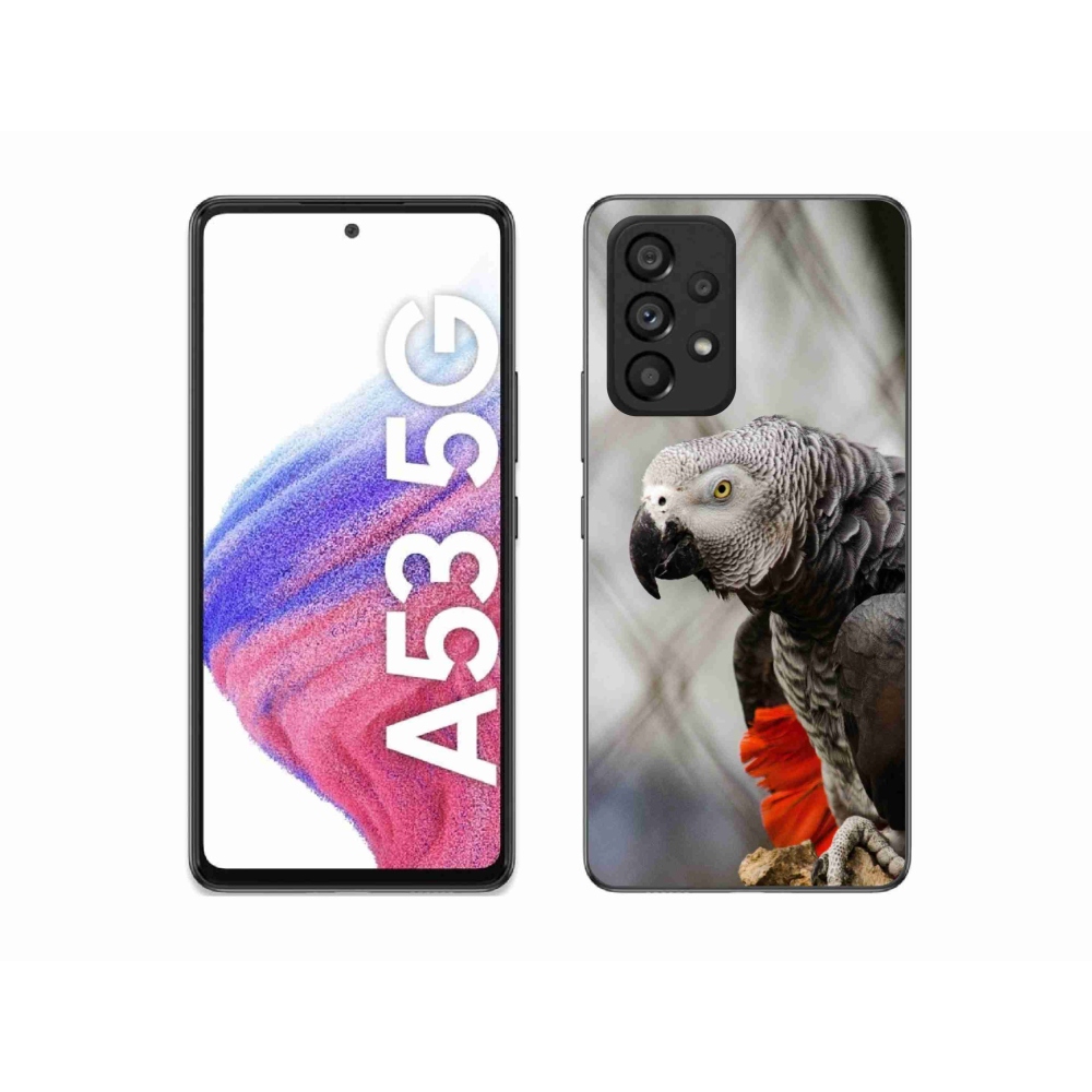 Gelový kryt mmCase na Samsung Galaxy A53 5G - papoušek žako 3