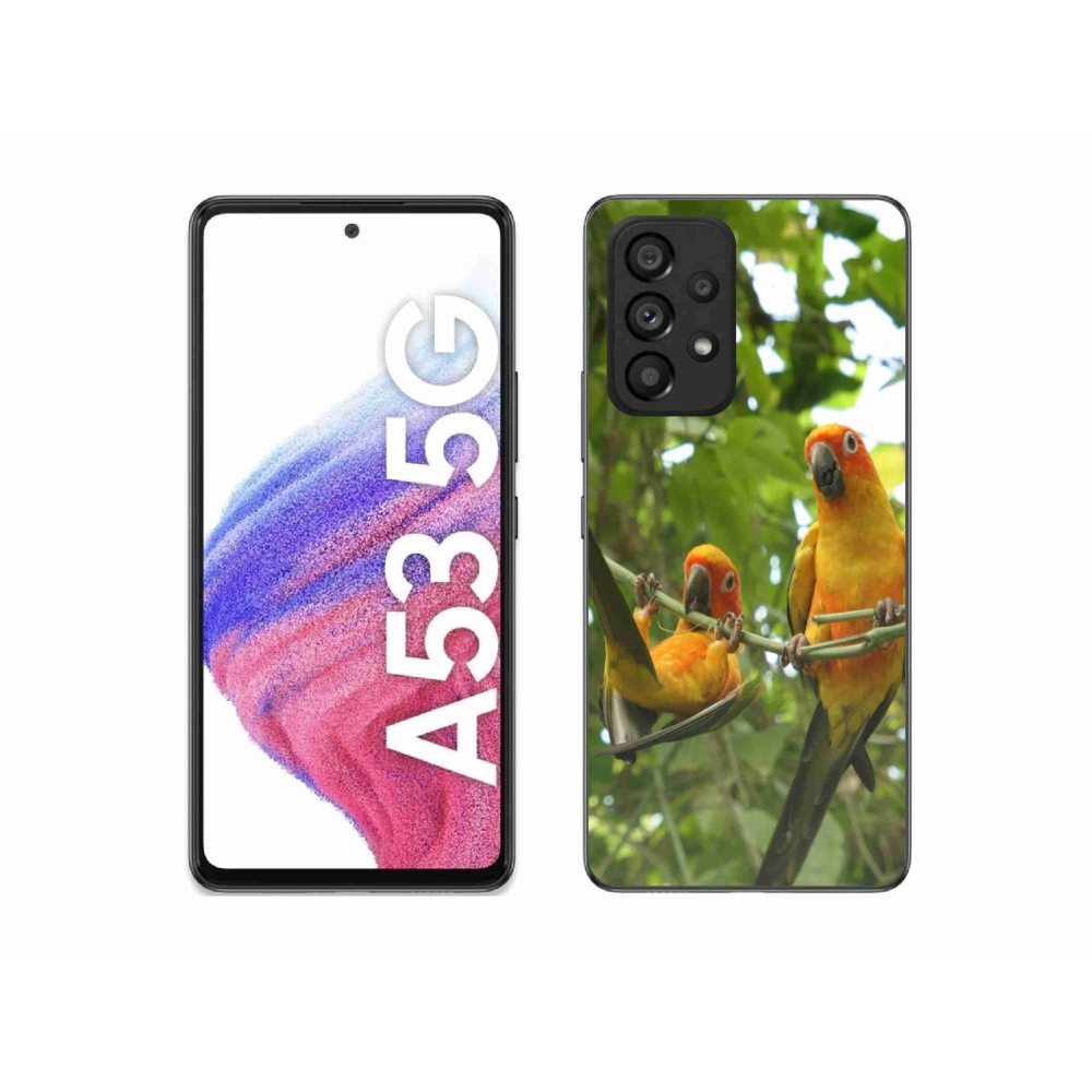 Gelový kryt mmCase na Samsung Galaxy A53 - papoušci aratingy
