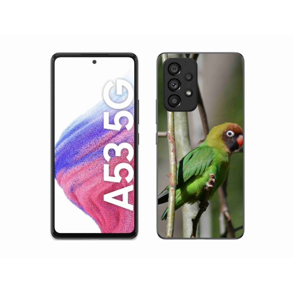 Gelový kryt mmCase na Samsung Galaxy A53 - papoušek agapornis