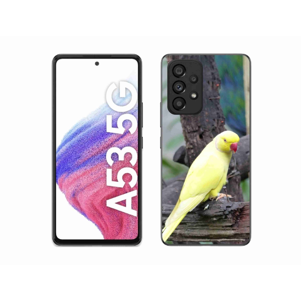 Gelový kryt mmCase na Samsung Galaxy A53 - papoušek alexandr žlutý