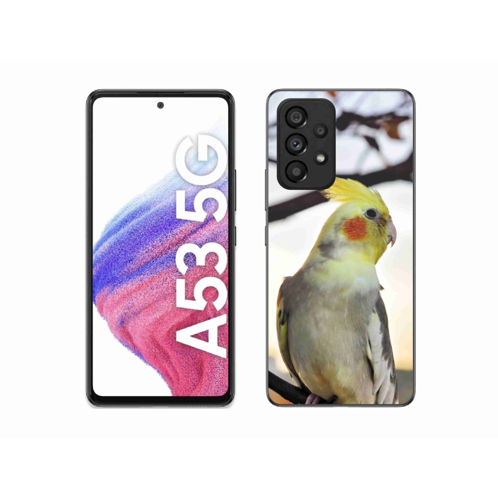 Gelový kryt mmCase na Samsung Galaxy A53 - papoušek korela