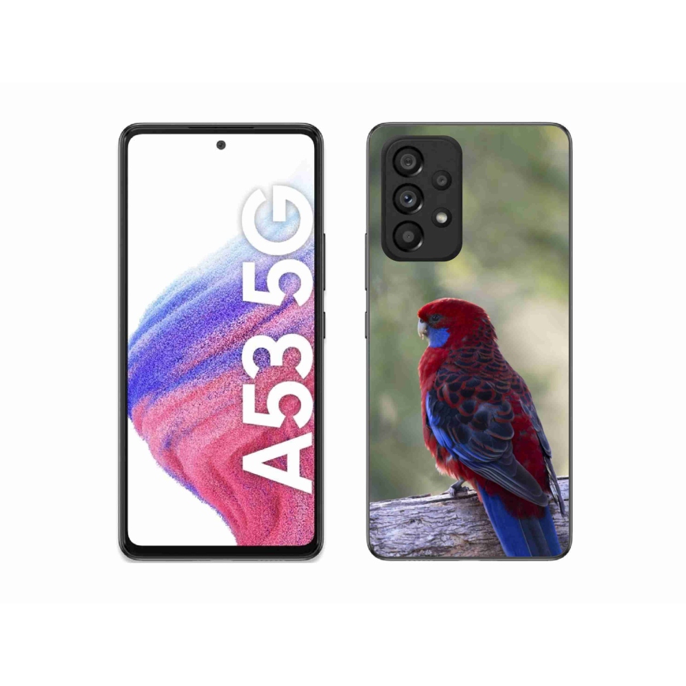 Gelový kryt mmCase na Samsung Galaxy A53 - papoušek rosela