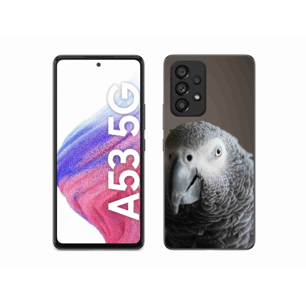 Gelový kryt mmCase na Samsung Galaxy A53 - papoušek žako 2