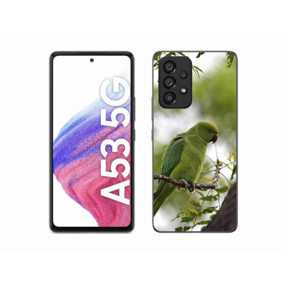 Gelový kryt mmCase na Samsung Galaxy A53 - zelený papoušek