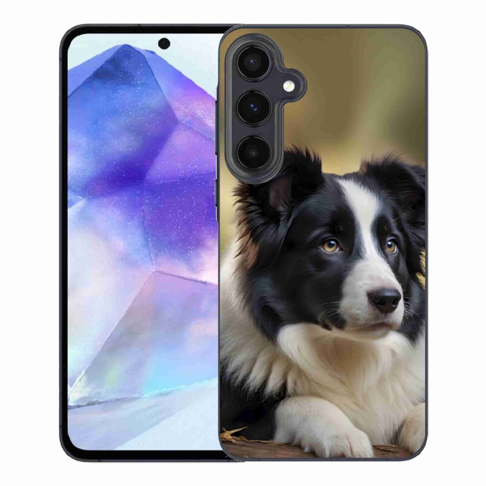Gelový kryt mmCase na Samsung Galaxy A55 5G - border kolie 2