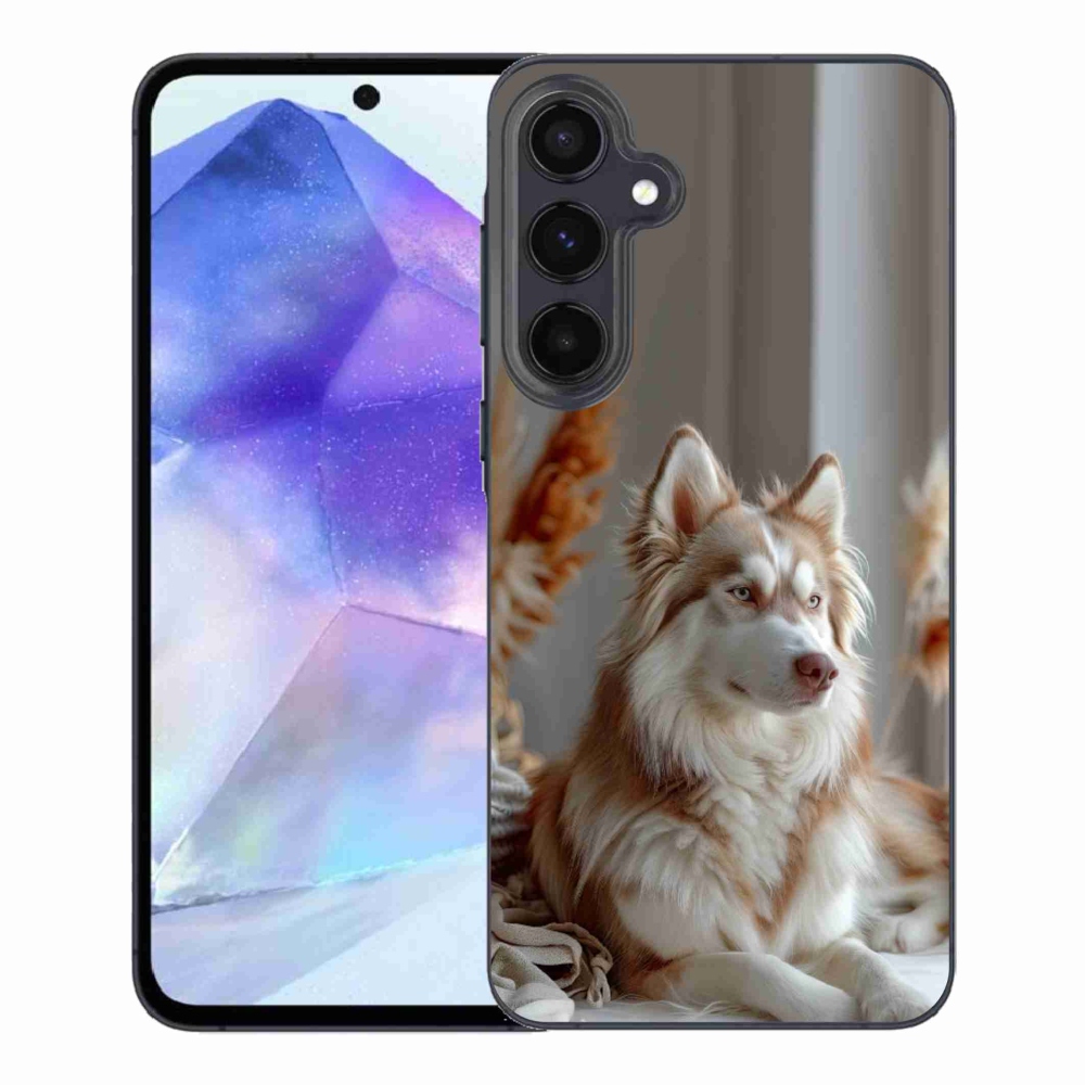 Gelový kryt mmCase na Samsung Galaxy A55 5G - klidný sibiřský husky
