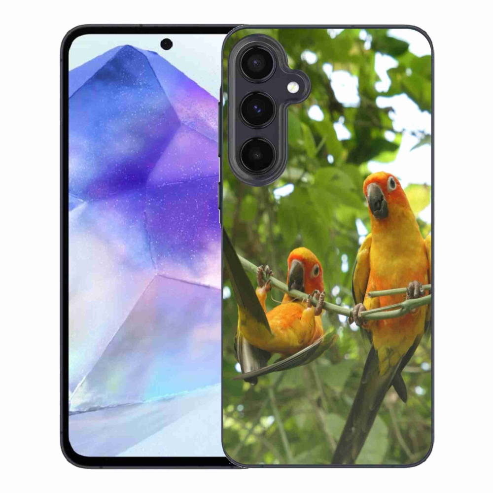 Gelový kryt mmCase na Samsung Galaxy A55 5G - papoušci aratingy
