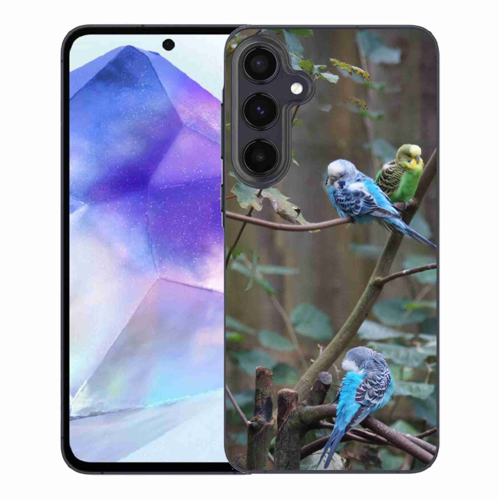 Gelový kryt mmCase na Samsung Galaxy A55 5G - papoušci na větvi