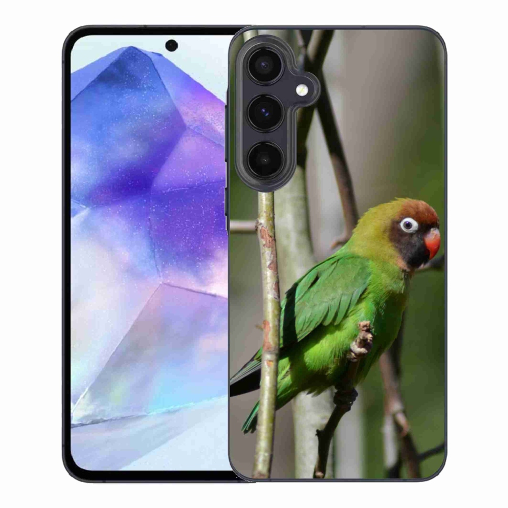 Gelový kryt mmCase na Samsung Galaxy A55 5G - papoušek agapornis