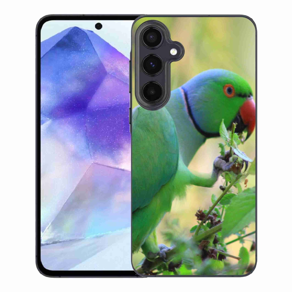 Gelový kryt mmCase na Samsung Galaxy A55 5G - papoušek alexandr