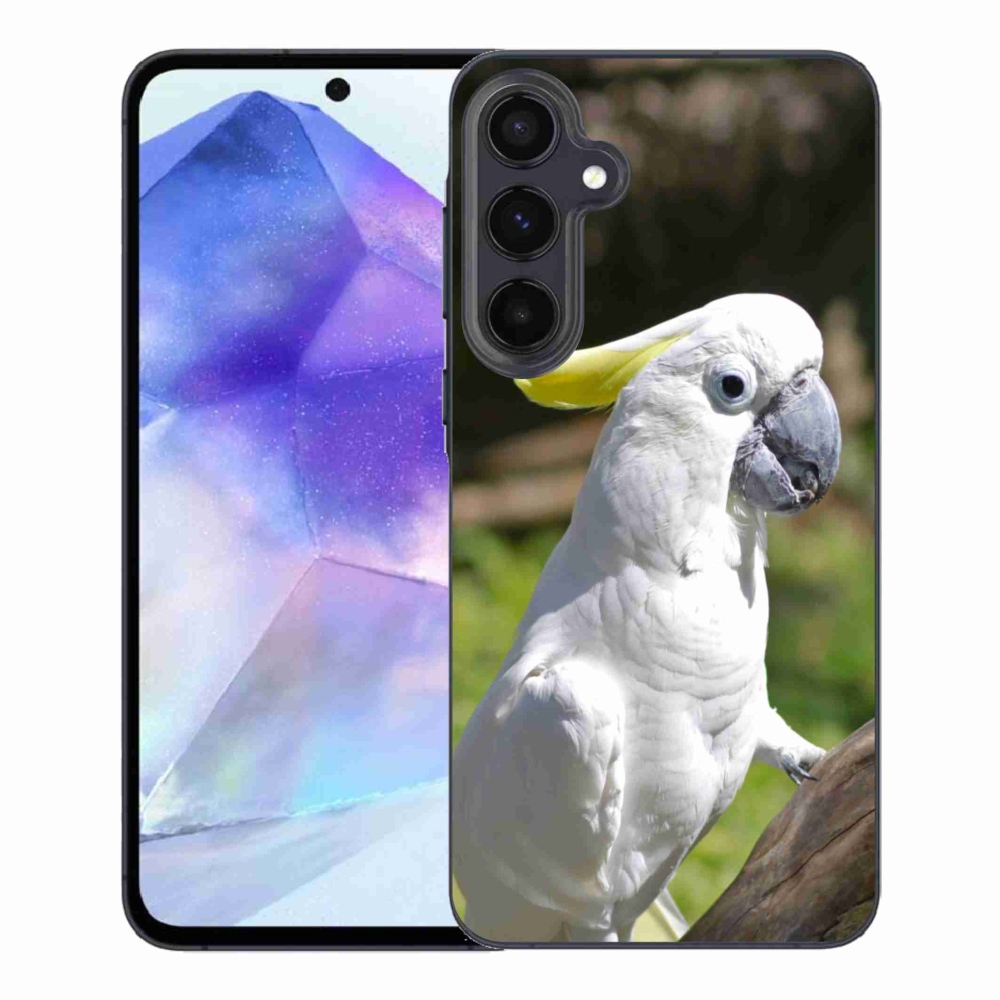 Gelový kryt mmCase na Samsung Galaxy A55 5G - papoušek kakadu 2