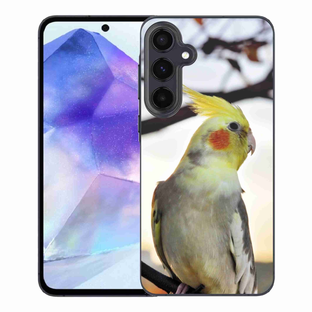 Gelový kryt mmCase na Samsung Galaxy A55 5G - papoušek korela