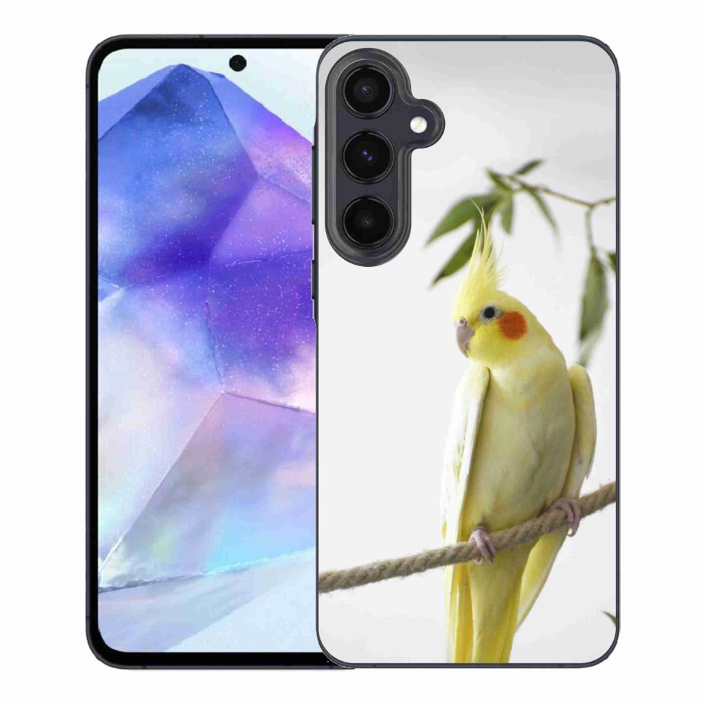 Gelový kryt mmCase na Samsung Galaxy A55 5G - papoušek korela chocholatá