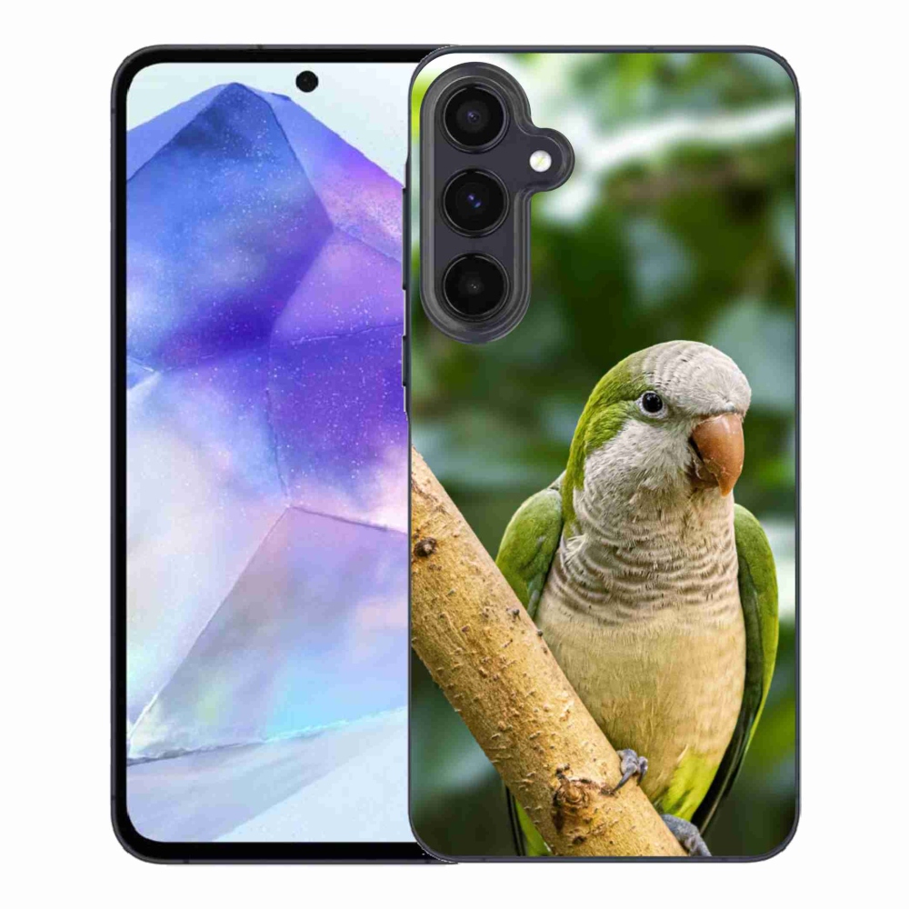 Gelový kryt mmCase na Samsung Galaxy A55 5G - papoušek mníšek