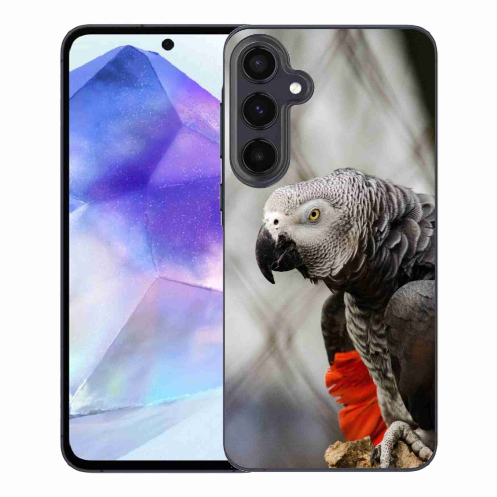 Gelový kryt mmCase na Samsung Galaxy A55 5G - papoušek žako 3