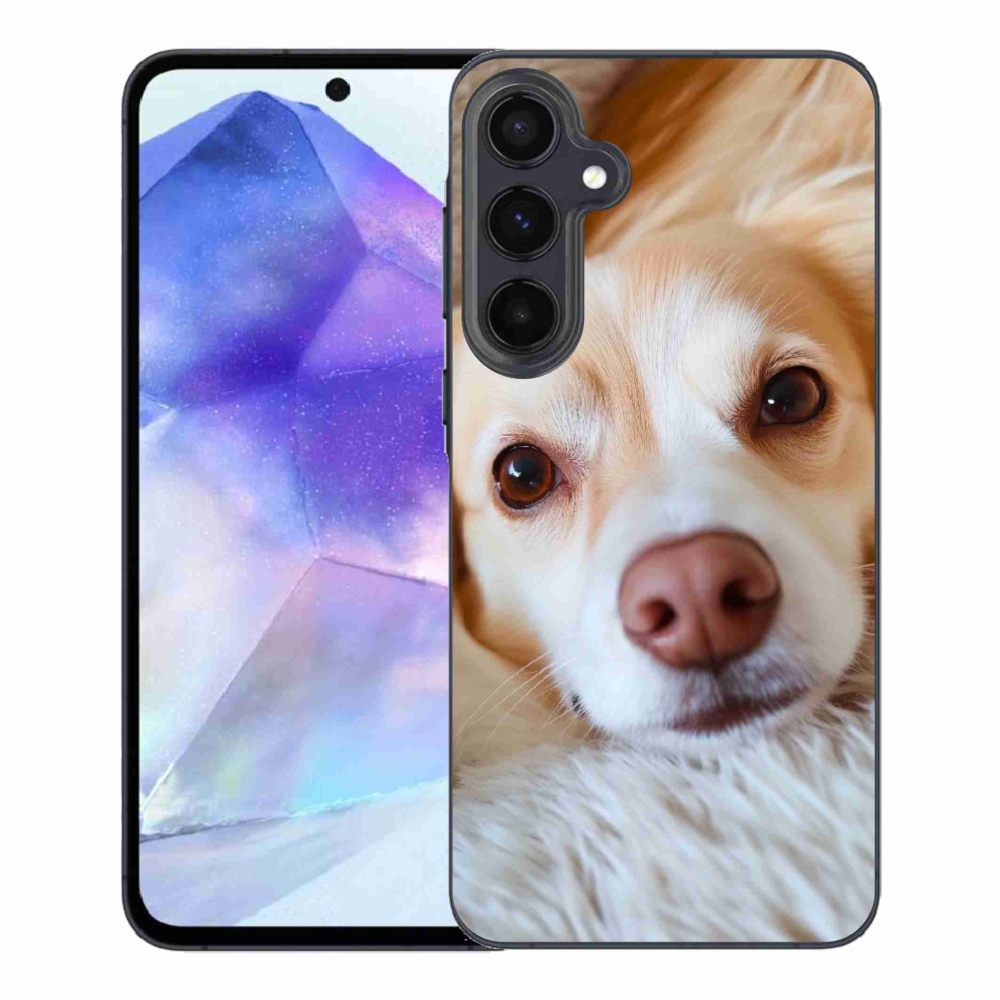 Gelový kryt mmCase na Samsung Galaxy A55 5G - Roztomilá čivava