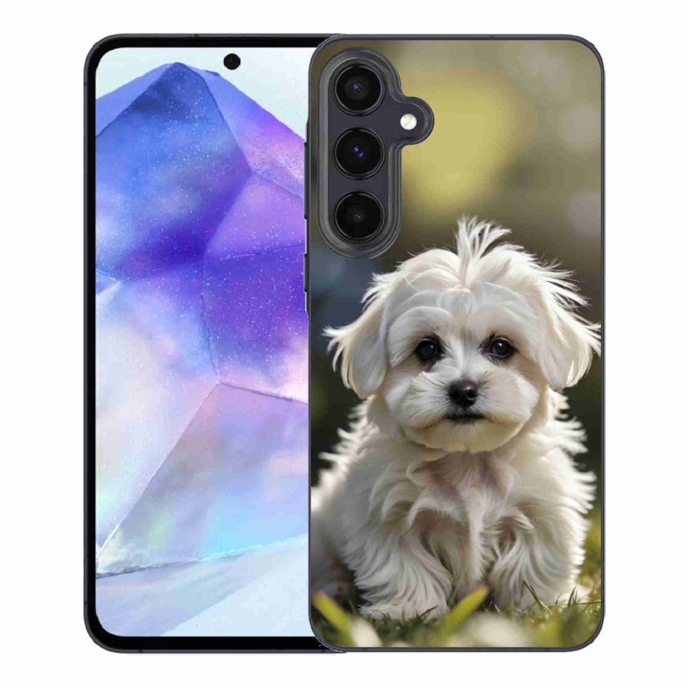 Gelový kryt mmCase na Samsung Galaxy A55 5G - roztomilý maltézský psík