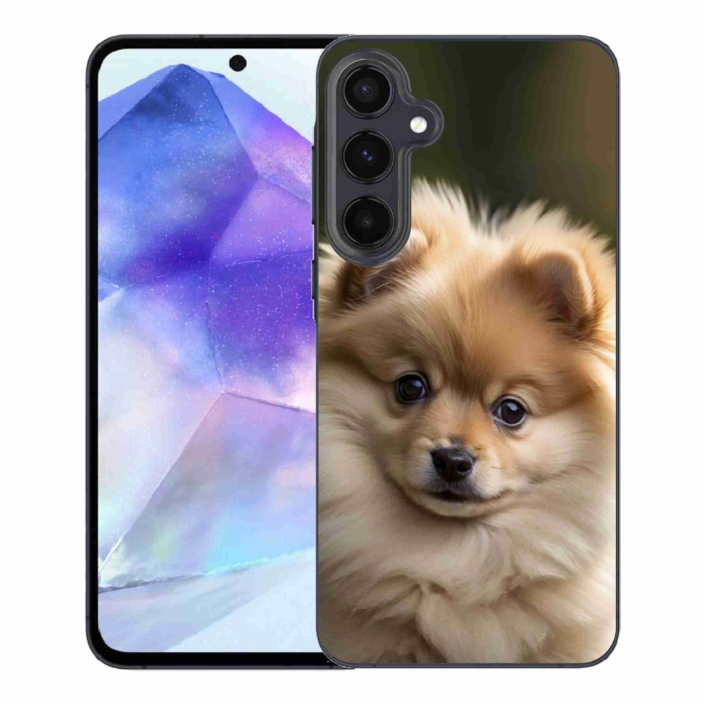 Gelový kryt mmCase na Samsung Galaxy A55 5G - roztomilý pomeranian 2