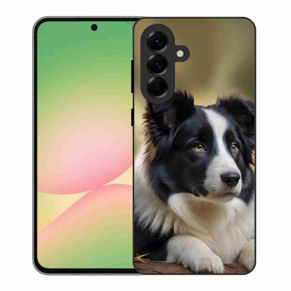 Gelový kryt mmCase na Samsung Galaxy A56 5G - border kolie 2